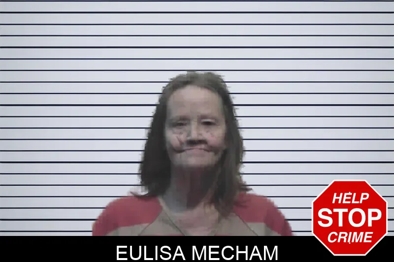 Eulisa Mecham mugshot