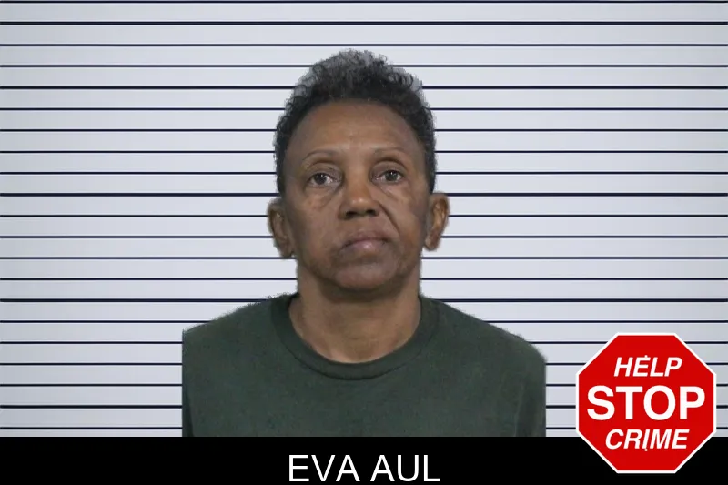 Eva Aul mugshot
