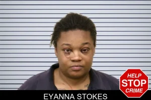 Eyanna Stokes mugshot