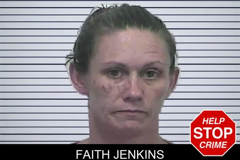 Faith Jenkins mugshot – Dawson County , Georgia Faith Jenkins