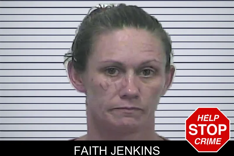 Faith Jenkins mugshot