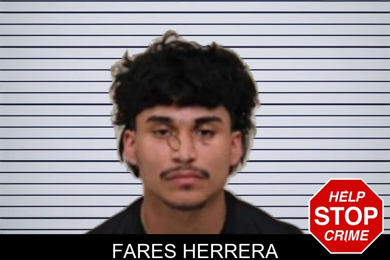 Fares Herrera mugshot