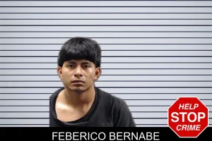 Feberico Bernabe mugshot