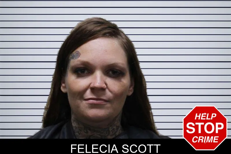 Felecia Scott mugshot