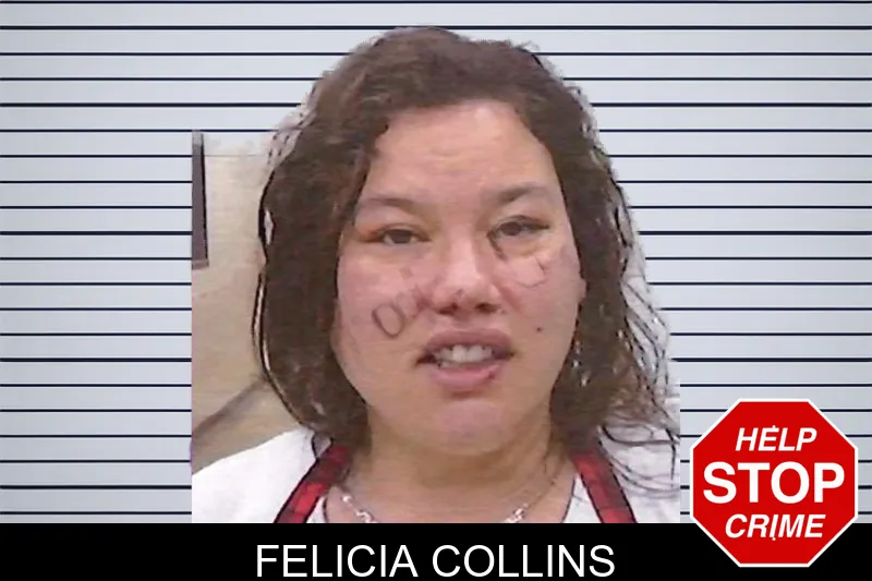 Felicia Collins mugshot
