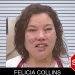 Felicia Collins mugshot