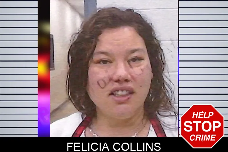 Felicia Collins mugshot – Screven County , Georgia Felicia Collins mugshot
