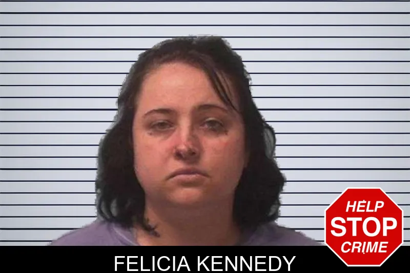 Felicia Kennedy mugshot – Franklin County , Georgia Felicia Kennedy mugshot