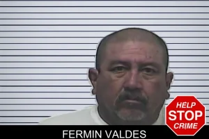 Fermin Valdes mugshot