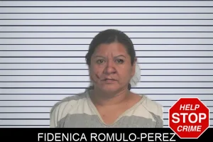 Fidenica Romulo-Perez mugshot