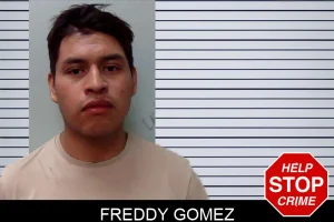 Freddy Gomez mugshot