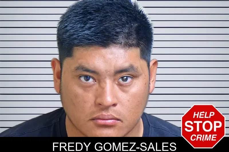 Fredy Gomez-Sales mugshot