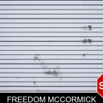 Freedom McCormick mugshot