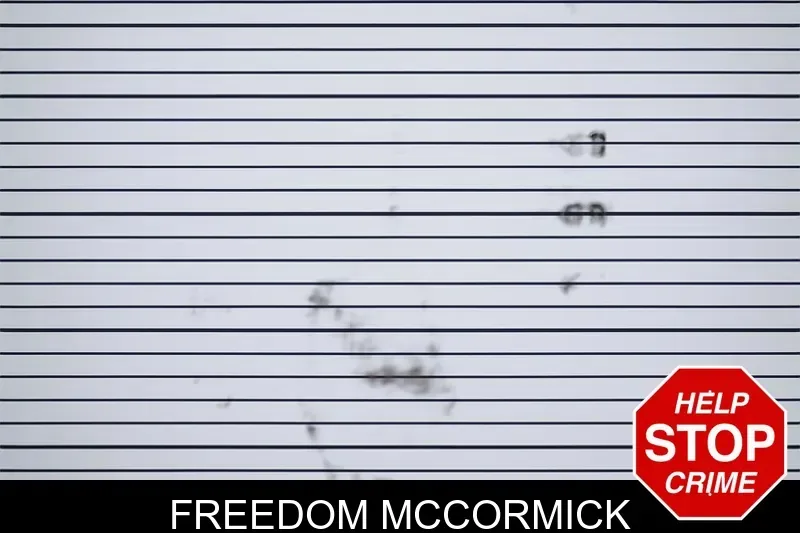 Freedom McCormick mugshot
