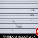Freedom McCormick mugshot