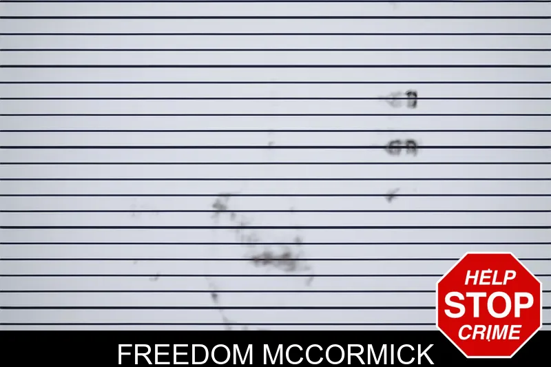 Freedom McCormick mugshot
