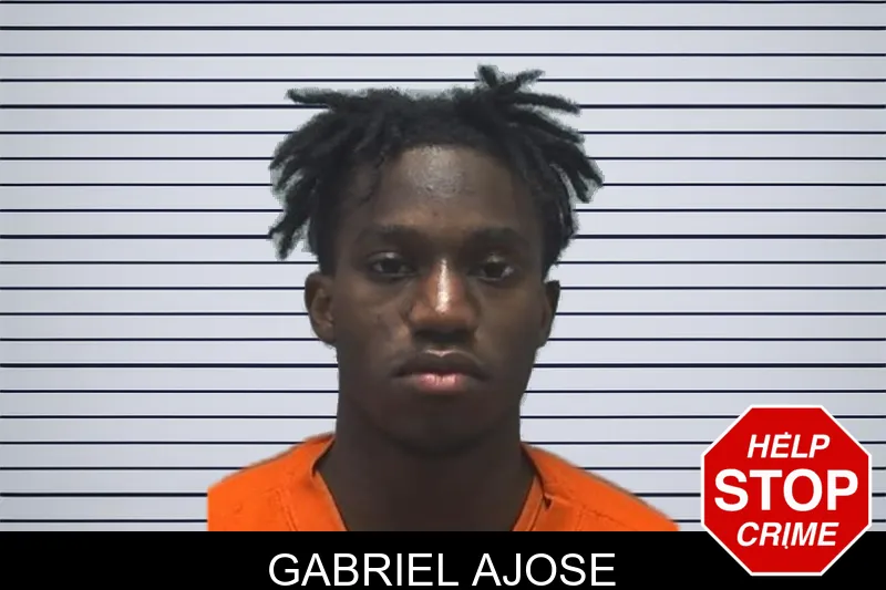 Gabriel Ajose mugshot – Cherokee County , Georgia Gabriel Ajose mugshot