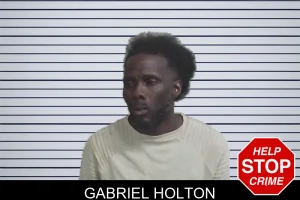 Gabriel Holton mugshot