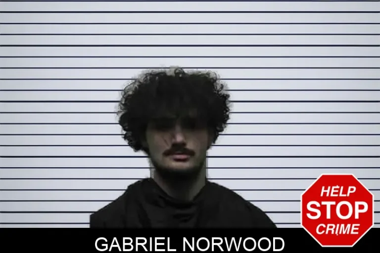 Gabriel Norwood mugshot – Pike County , Georgia Gabriel Norwood
