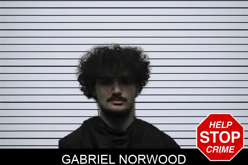 Gabriel Norwood mugshot