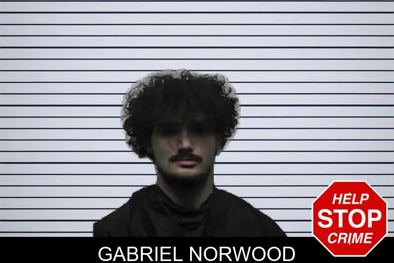 Gabriel Norwood mugshot