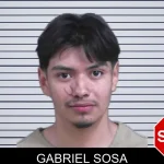 Gabriel Sosa mugshot