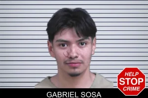 Gabriel Sosa mugshot