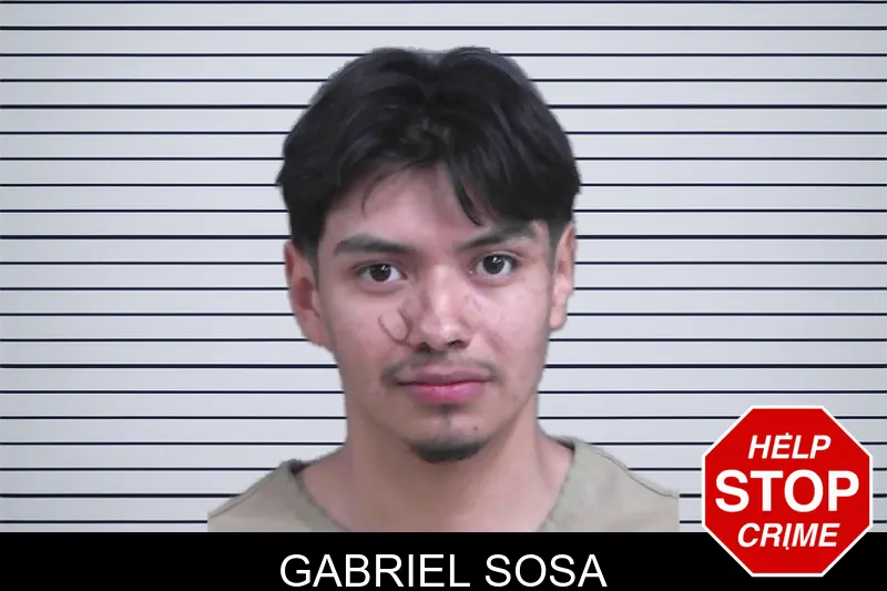 Gabriel Sosa mugshot