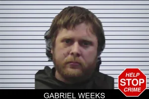 Gabriel Weeks mugshot