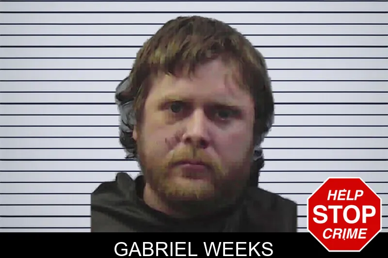 Gabriel Weeks mugshot