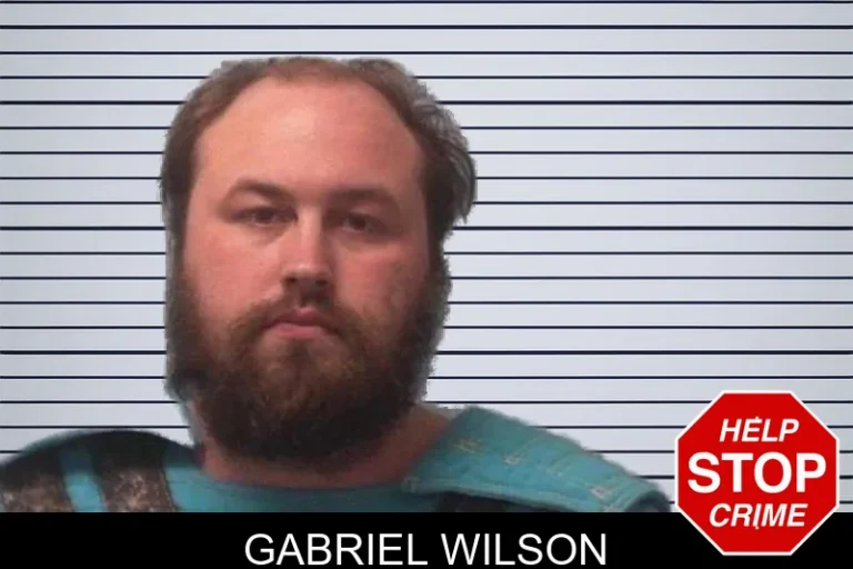 Gabriel Wilson mugshot – Franklin County , Georgia Gabriel Wilson