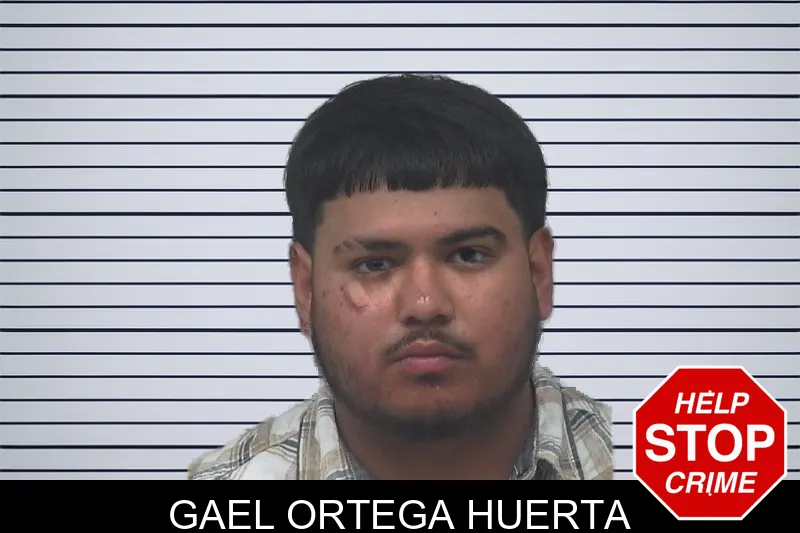 Gael Ortega Huerta mugshot