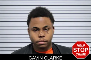 Gavin Clarke mugshot