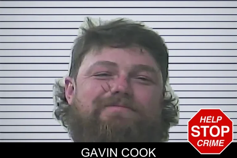 Gavin Cook