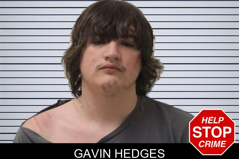 Gavin Hedges mugshot