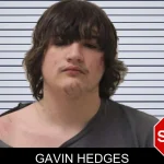 Gavin Hedges mugshot