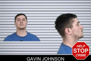 Gavin Johnson mugshot
