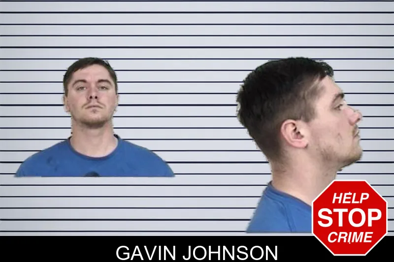 Gavin Johnson mugshot