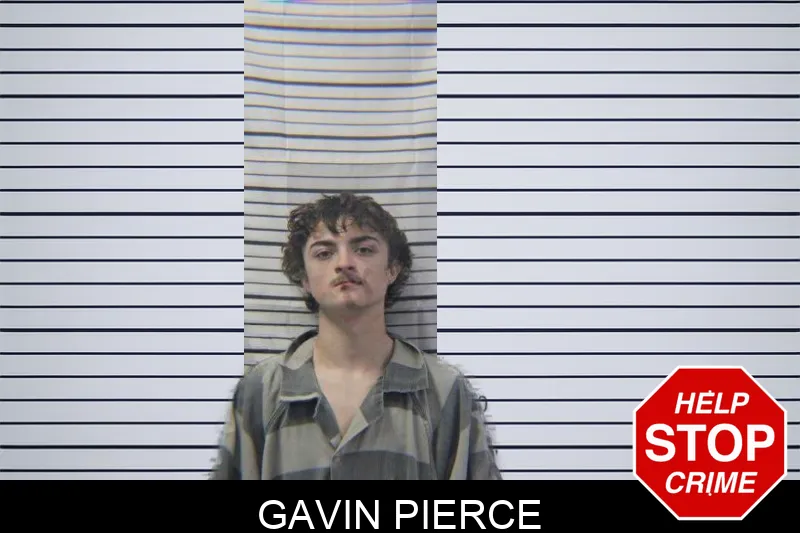 Gavin Pierce mugshot
