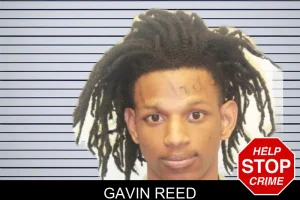 Gavin Reed mugshot