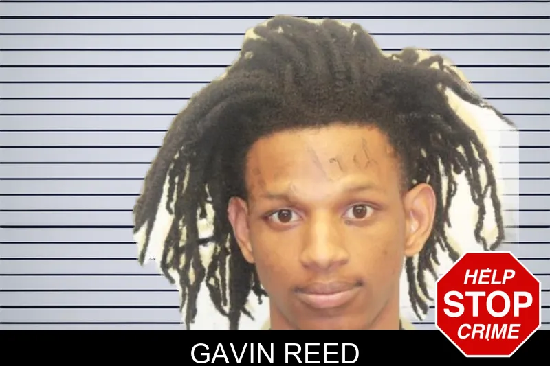 Gavin Reed mugshot – Chatham County , Georgia Gavin Reed mugshot