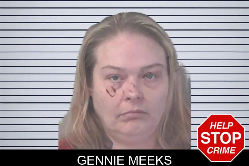 Gennie Meeks mugshot