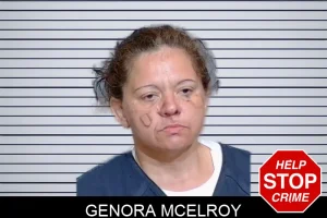 Genora McElroy mugshot