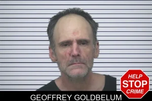 Geoffrey Goldbelum mugshot