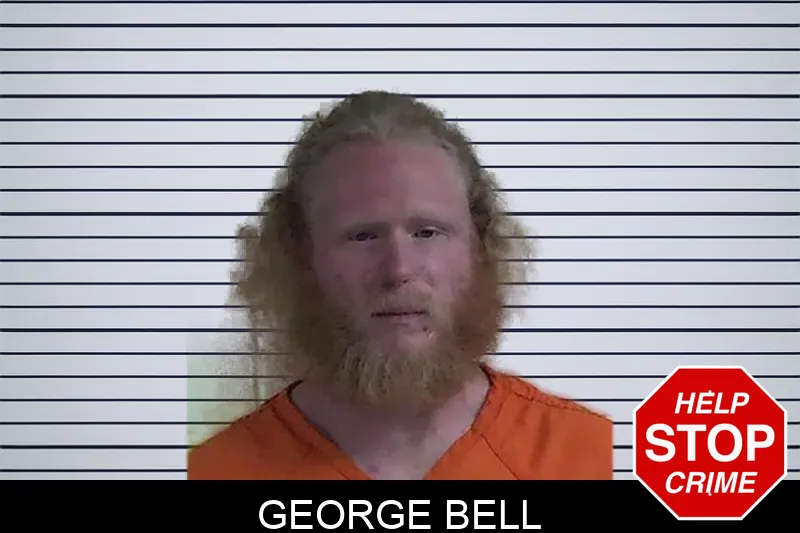 George Bell mugshot – Fannin County , Georgia George Bell mugshot