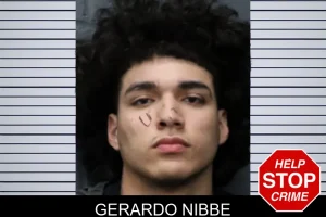 Gerardo Nibbe mugshot
