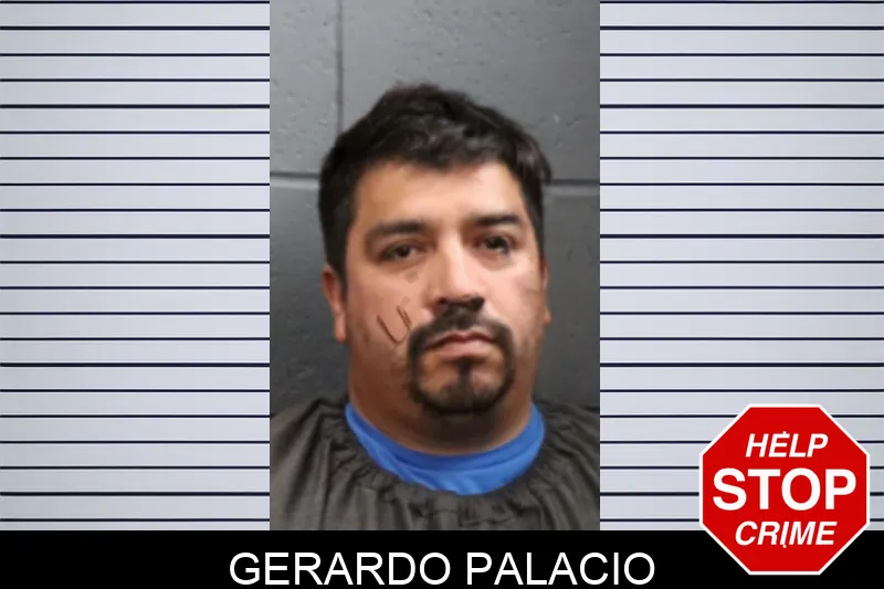 Gerardo Palacio mugshot
