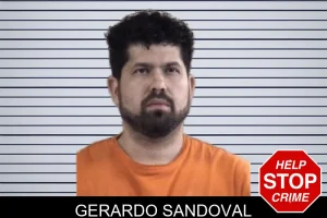 Gerardo Sandoval mugshot