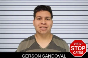 Gerson Sandoval mugshot