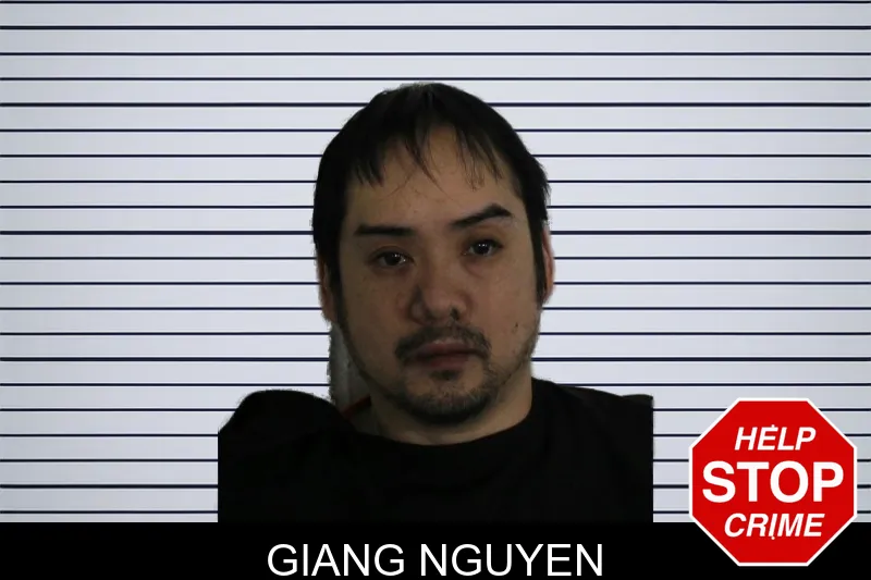 Giang Nguyen mugshot